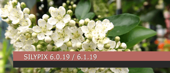 SILKYPIX 6.0.19 / SILKYPIX 6.1.19