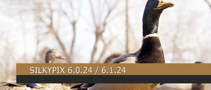 SILKYPIX 6.0.24 / 6.1.24