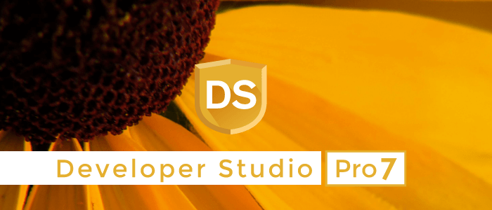 SILKYPIX Developer Studio Pro7