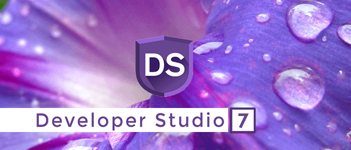 SILKYPIX Developer Studio 7