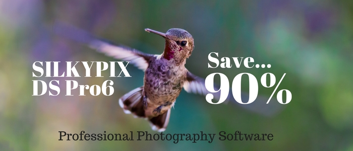 Save 90% on SILKYPIX DS Pro6