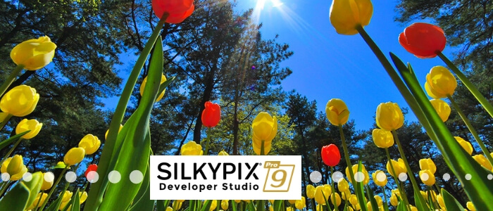 SILKYPIX DS Pro9 Released